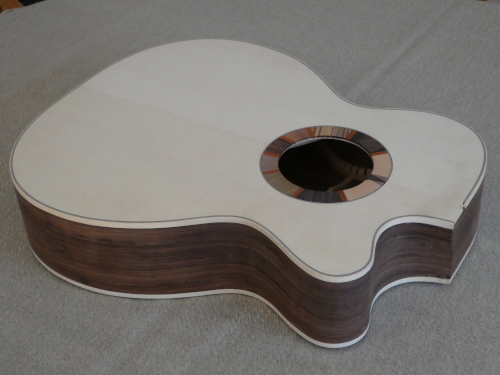 P1080853 (500x375).JPG