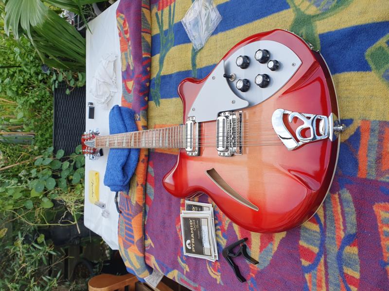 Rickenbacker_360_12.JPG