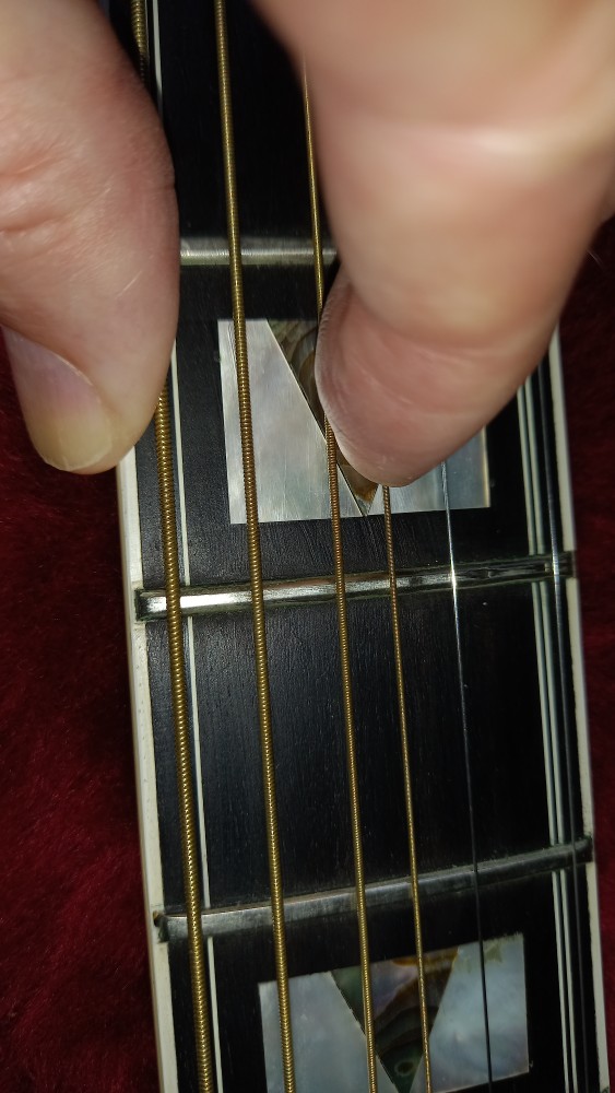 Frets.jpg