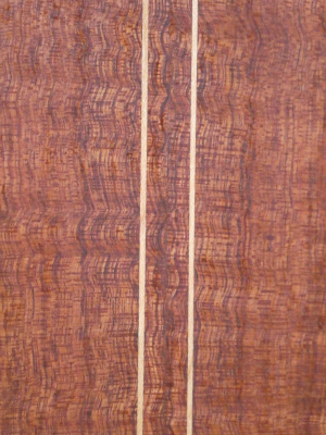 P1090088 (300x400).JPG