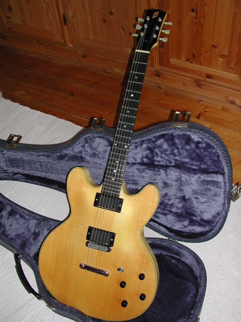 Guitar02.JPG