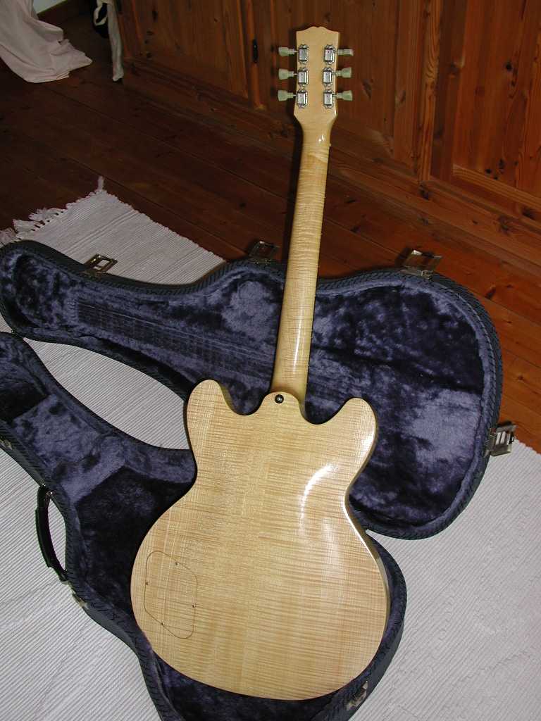 Guitar03.JPG